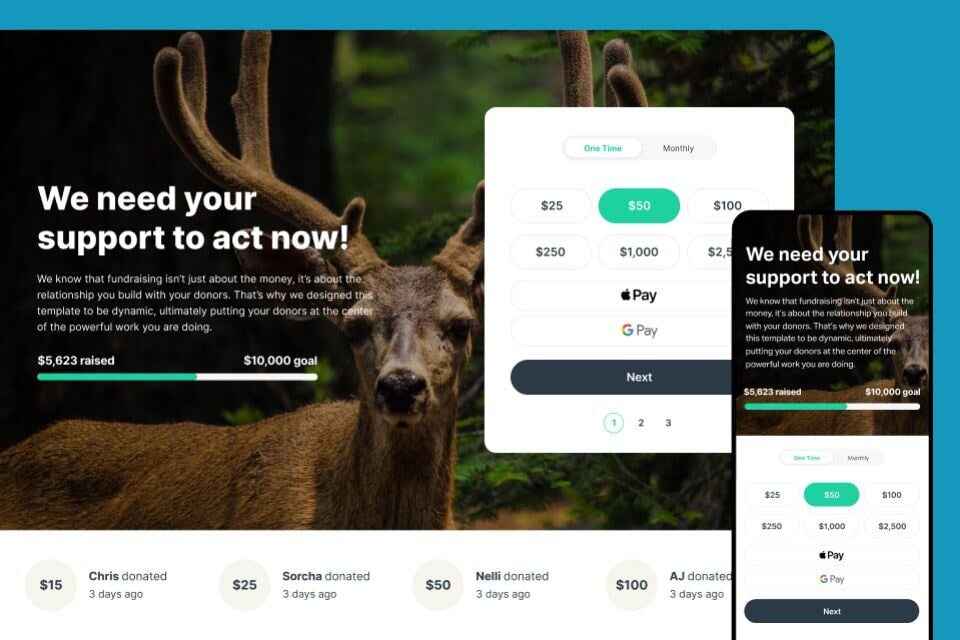 Image of a Year-End giving landing page on a leader's website to drive in donations with ease.